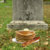 pancakes on a grave thumbnail