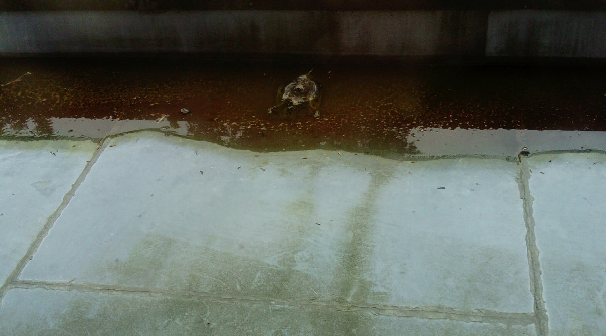 Boy Meets Girl Endon