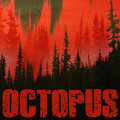 OCTOPUS image