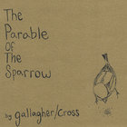 Ruairi Gallagher thumbnail
