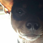 Miles thumbnail