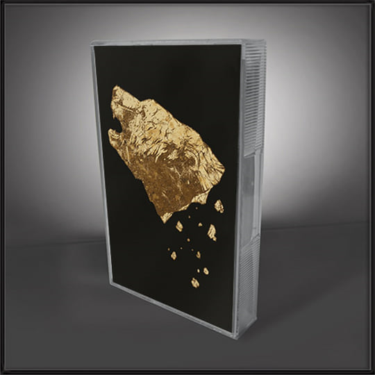 レア盤！Fortune D BLACKMOFINJAP dlip records レア盤！Fortune D BLACKMOFINJAP dlip records