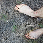 C.Hagen thumbnail
