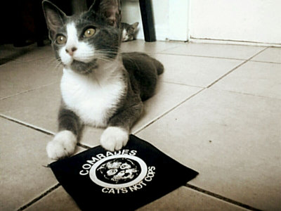 CATS NOT COPS PATCH main photo