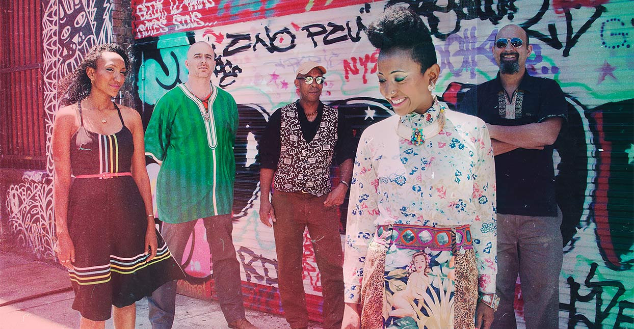 Alsarah & the Nubatones A Tapestry of Migratory Patterns Bandcamp Daily