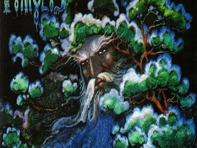 TUMULUS - Winter Wood CD main photo