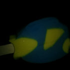 jamwa thumbnail