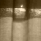 Peter Richards thumbnail