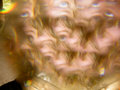 interactive audio-visual jellyfish image