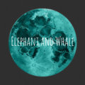 Elephant and Whale image