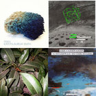 Heart And Crime | Julie Doiron