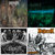 JC Tinguely thumbnail