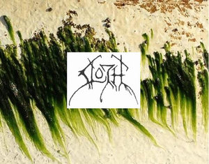 Music | sloth