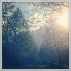 William Vanhooren thumbnail