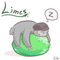 Limes image