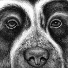 Bernd Klepper thumbnail