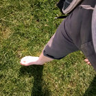 Piggy In The Clouds String Arrangement Stefano Guzzetti Home Normal