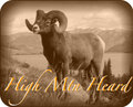 High Mtn Heard image