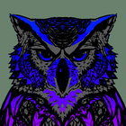 Nowey thumbnail