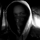 Unsound $ystem | Combat Wombat