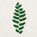 Fern Leaf image