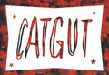 Catgut image