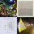 Grhm Cmpbll thumbnail