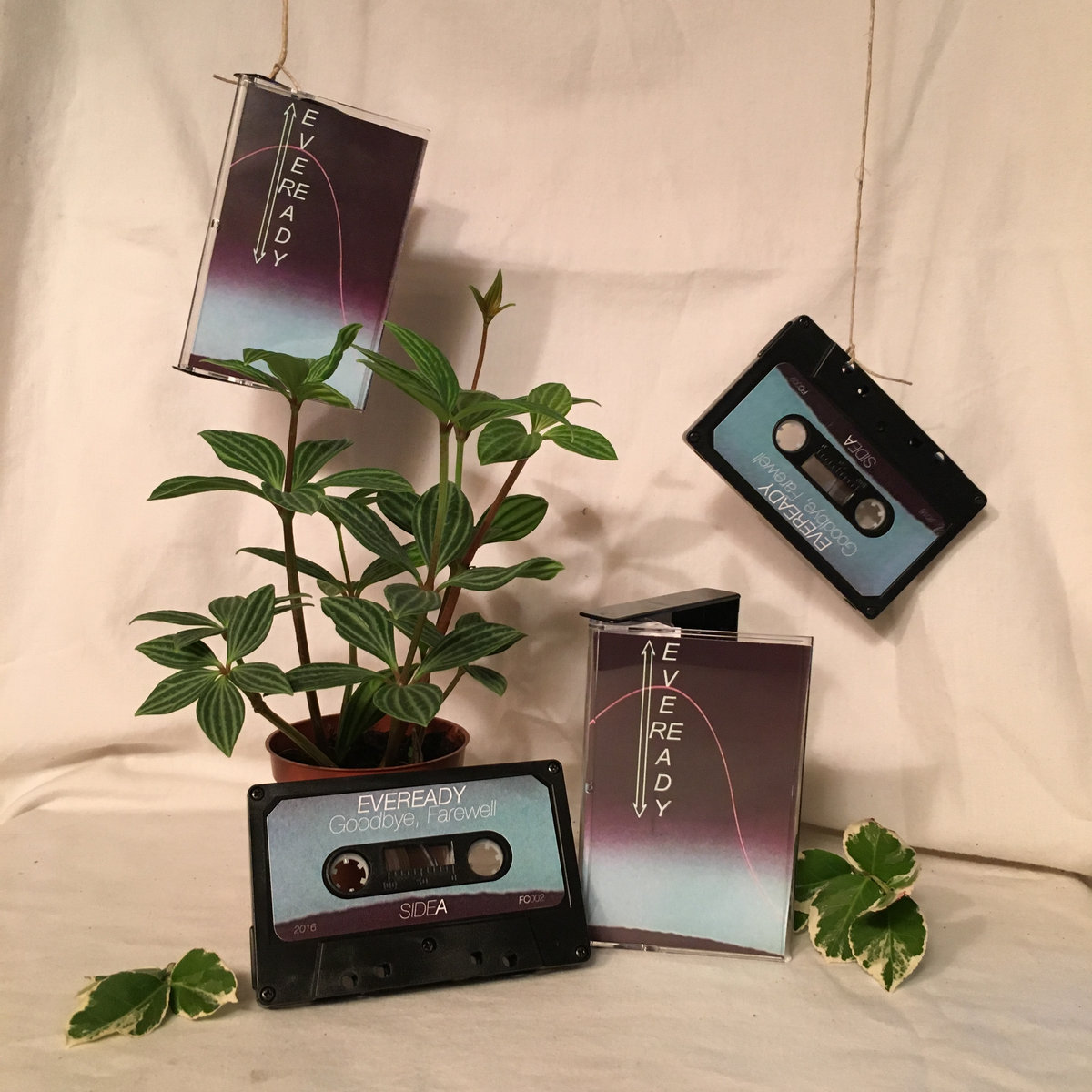 Goodbye, Farewell | Eveready | Fan Club Records