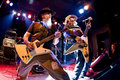 Honky — Photo