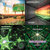 Rich Greenwood thumbnail