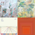 海辺の花屋 | Kana Wakareno