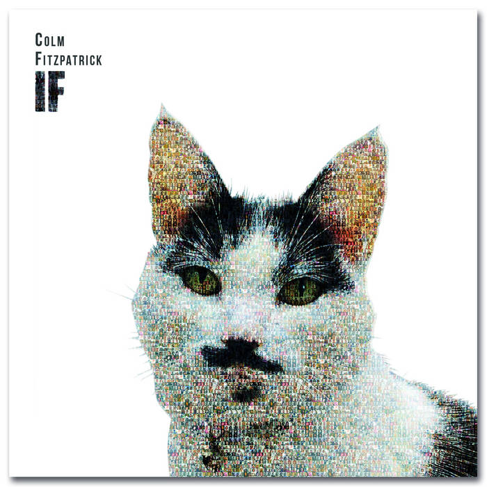 Colm Fitzpatrick cover