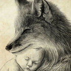 catherine fox thumbnail