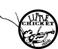 Little Cricket Records image