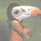 John Meaux thumbnail