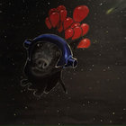 tim holt thumbnail
