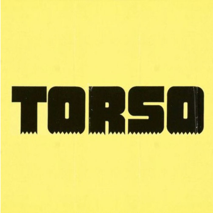 Torso cover