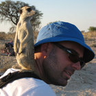 David Price thumbnail