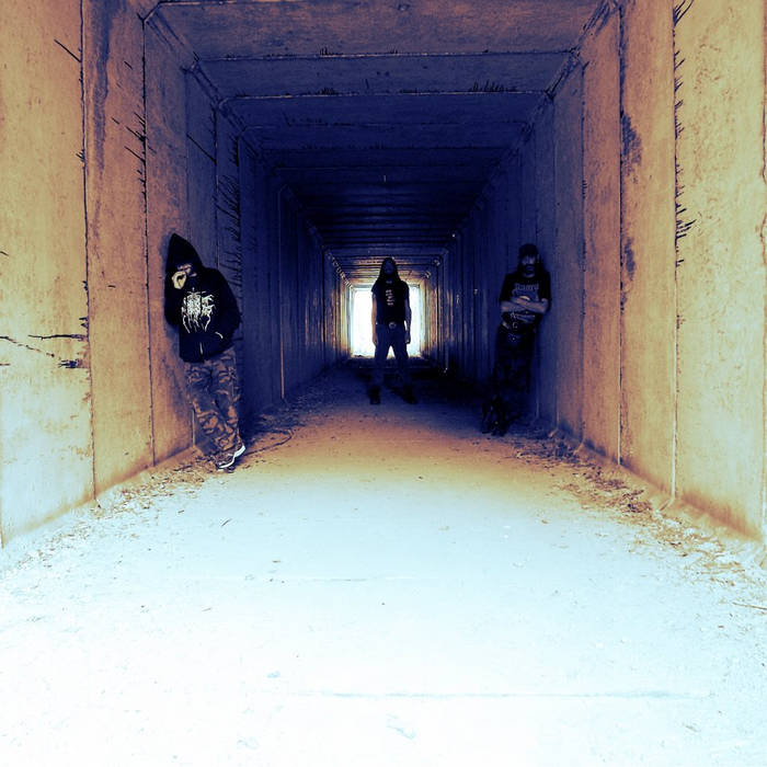 Defiled Noise Inc. cover