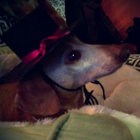 Reuben B. thumbnail