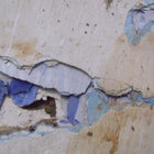 Thècle thumbnail