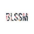 BLSSM image