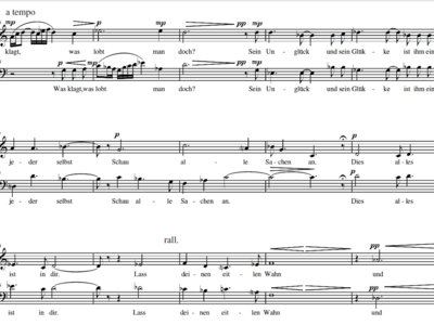 2 Duos nach Paul Fleming (2008) for mezzo soprano and bariton (score PDF) main photo