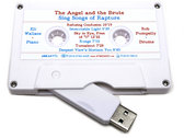 Audio Cassette Style USB Drive photo 