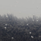 paatchwoork thumbnail
