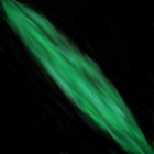 Florian Emmrich thumbnail