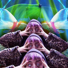 Juniper  thumbnail