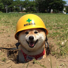 Alan In Chains thumbnail