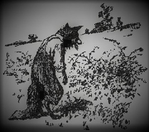 Music | Into The Briar Patch