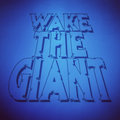 Wake The Giant image